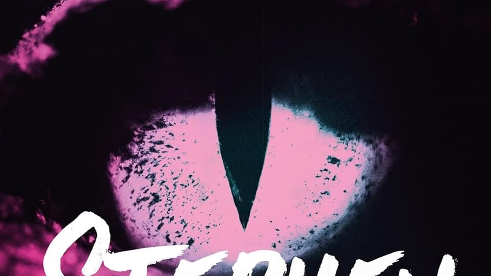 The front cover of The Eyes of the Dragon.